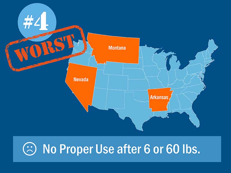 Seat Belt Laws by State