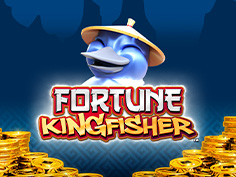 Fortune Kingfisher