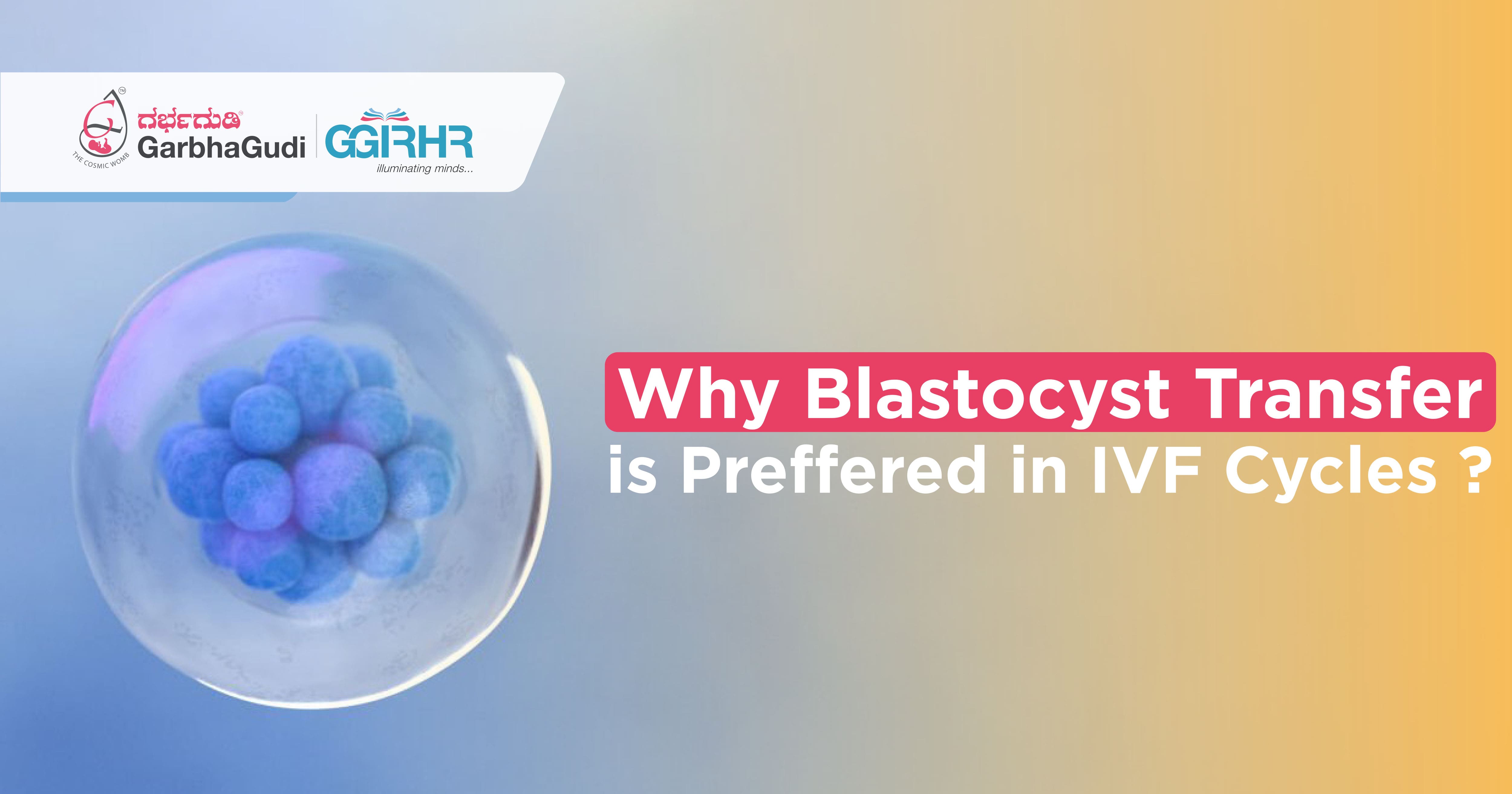 Why Blastocyst Transfer Is Preferred in IVF Cycles?