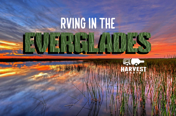 RVing in the Everglades