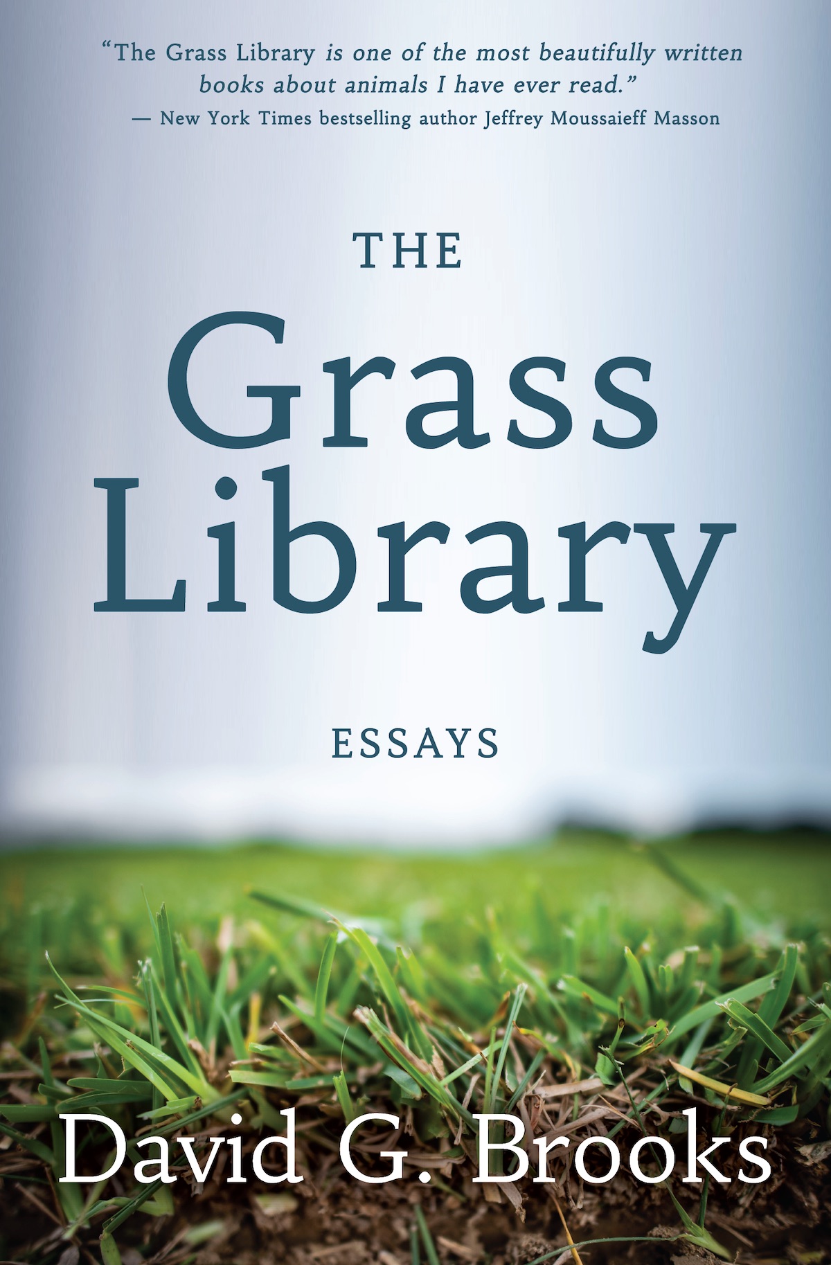 Image of The Grass Library