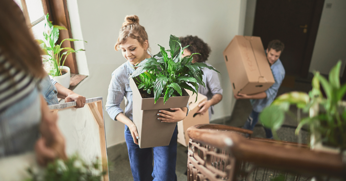 transporting plants.png