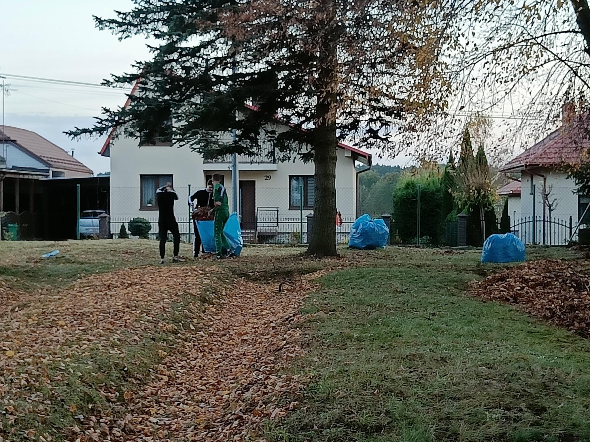 Pamiętamy... | Trzech chłopców sprzątających do dużego worka na śmieci zgrabione liście. Obok jeszcze dwa wypchane po brzegi worki, w tle domki jednorodzinne..jpg