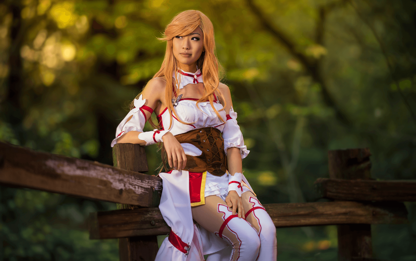 SWORD ART ONLINE: Hollow Realization Cosplayers