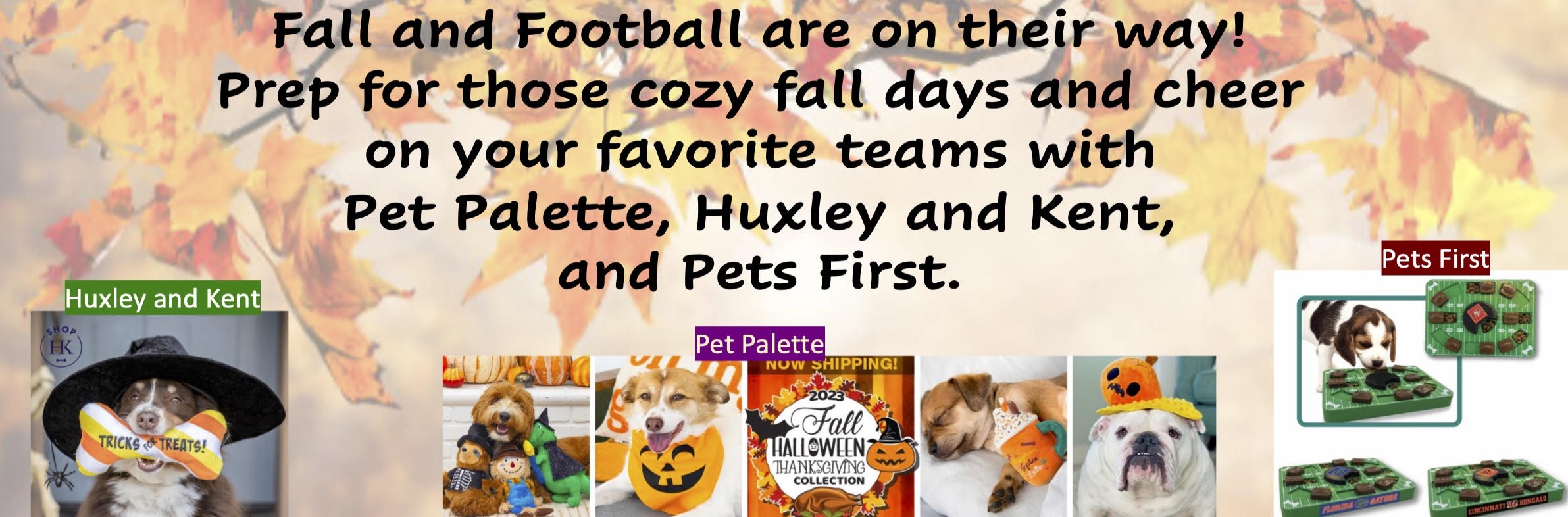 Photo Contest: Pets in Football Gear