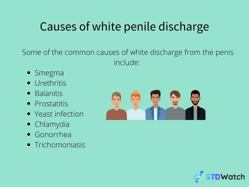 white-discharge-from-penis