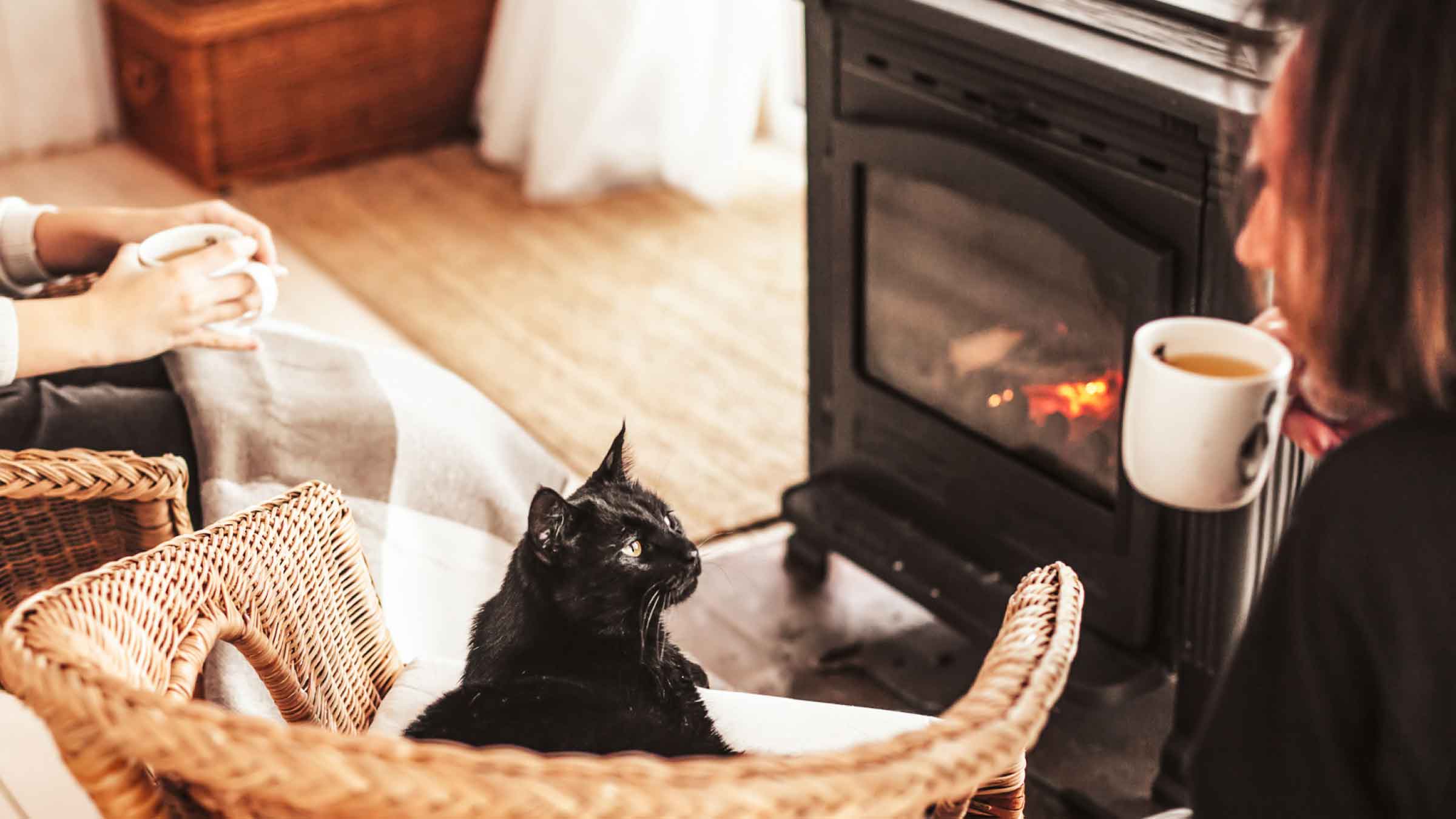 Cosy living room with a cast iron freestanding fireplace. Cat sits in front of it on a chair looking up at its owner drinking tea.