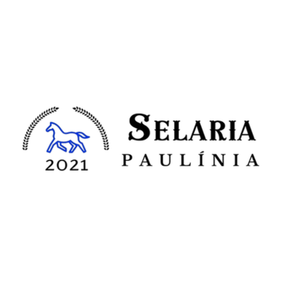 Selaria Paulínia - Ubumtu - Agência de Marketing e Tecnologia 