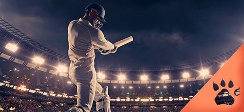 Cricket World Cup Betting Guide 2022 | LeoVegas NZ Blog