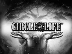Circle Of Life