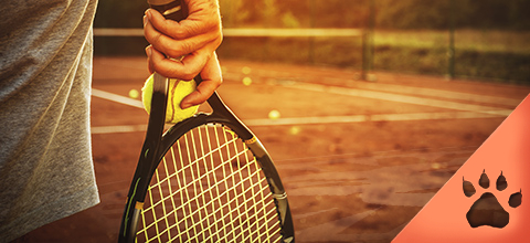 Tennis | News & Blog LeoVegas Sport