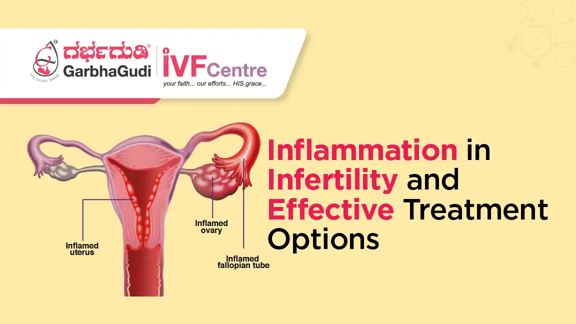 Exploring the Role of Inflammation in Infertility and Treatment Options