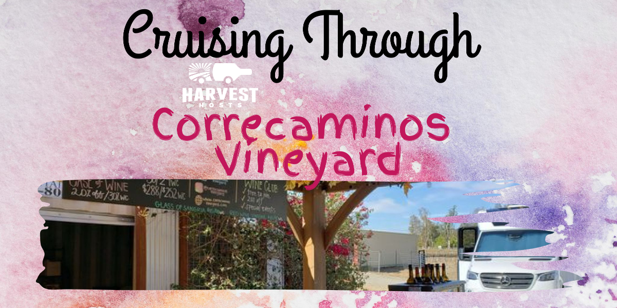 Cruising through Correcaminos Vineyard