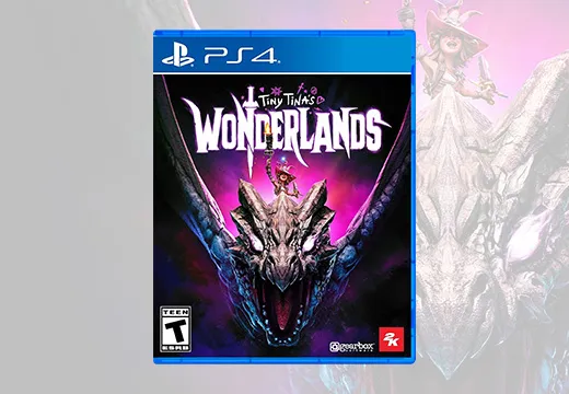 Imagem do produto Tiny Tina's Wonderlands PS4 - Físico em Magazine Luiza