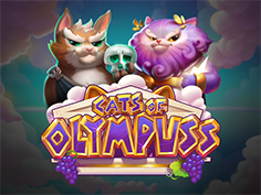 Cats Of Olympus