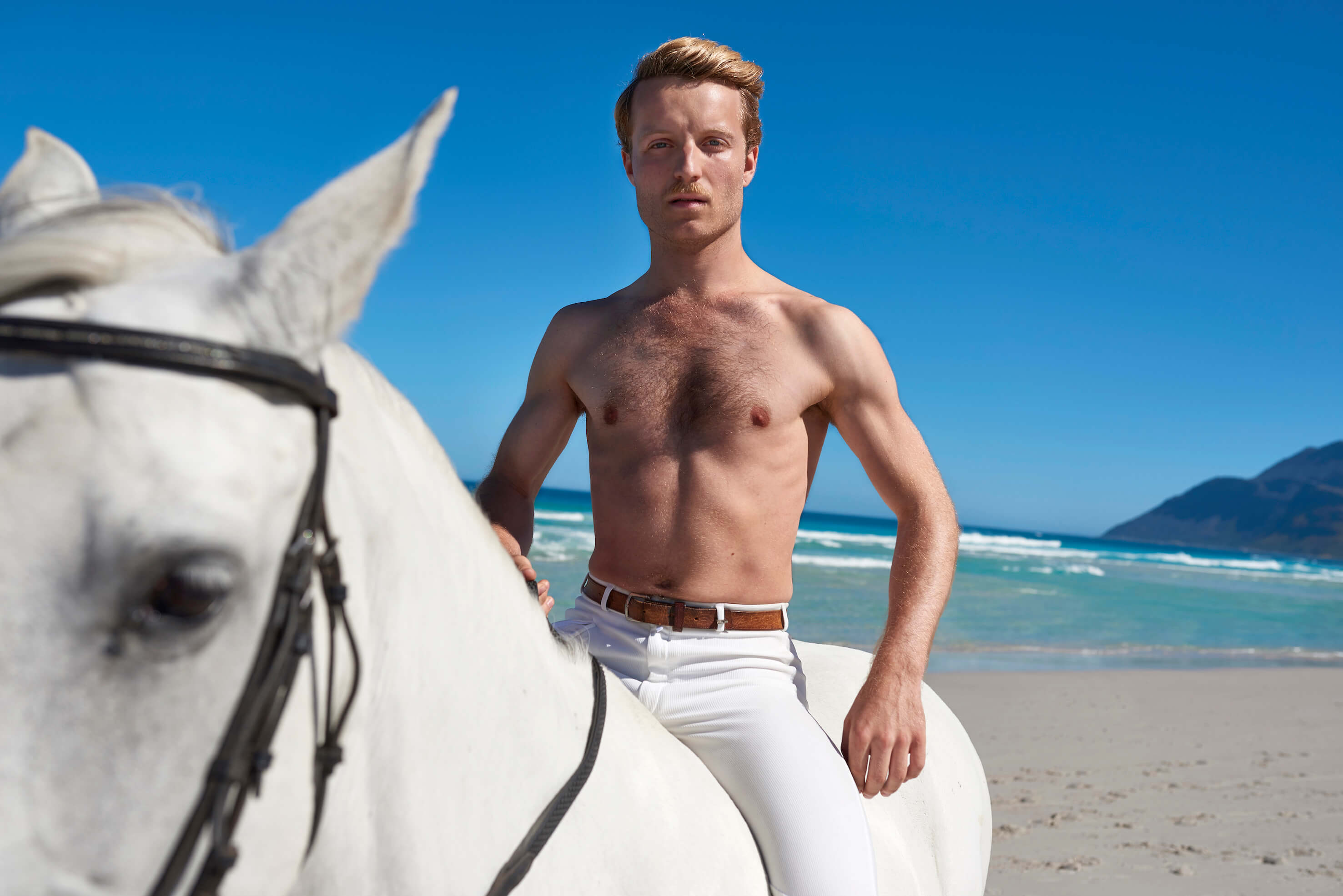 7.6.2017_Andy Kassier - insta horse - 2017.jpg