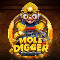Game icon