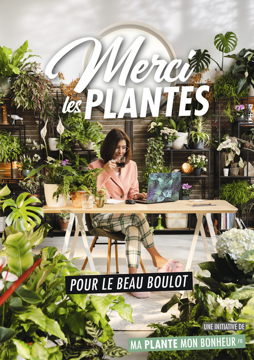 Des plantes pour se sentir bien chez soi et y travailler mieux