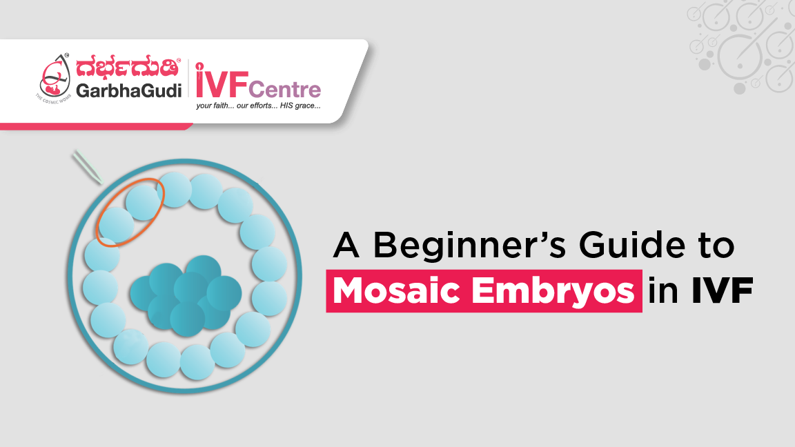 A Beginner’s Guide to Mosaic Embryos in IVF