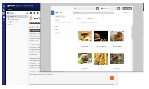 CELUM Screenshot