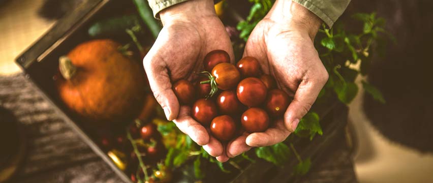 Handful of fresh vegetables