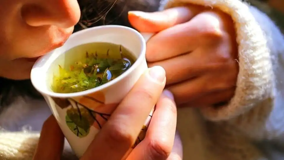 Choosing herbs for evening tea