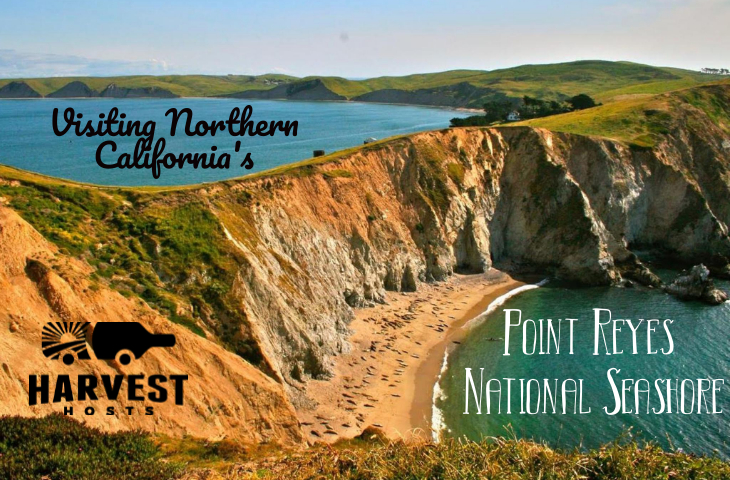 Visiting Northern California's Point Reyes National Seashore