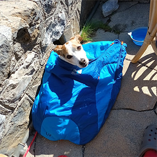 Hundeschlafsack-camping-mit-hund-non-stop-dogwear.jpg