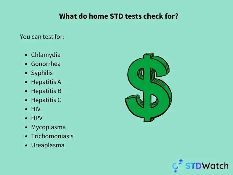 what-do-home-std-tests-test-for