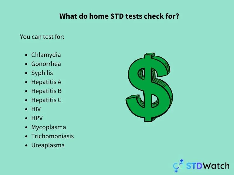 what-do-home-std-tests-test-for what-do-home-std-tests-test-for