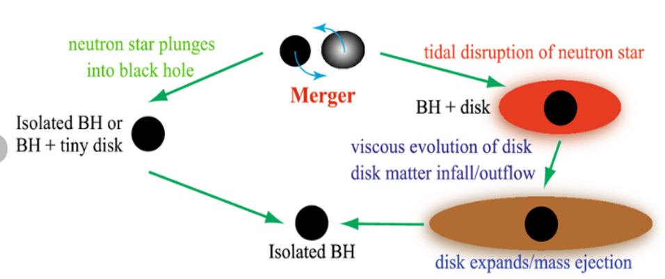 blackhole_neutronstar_merger.png