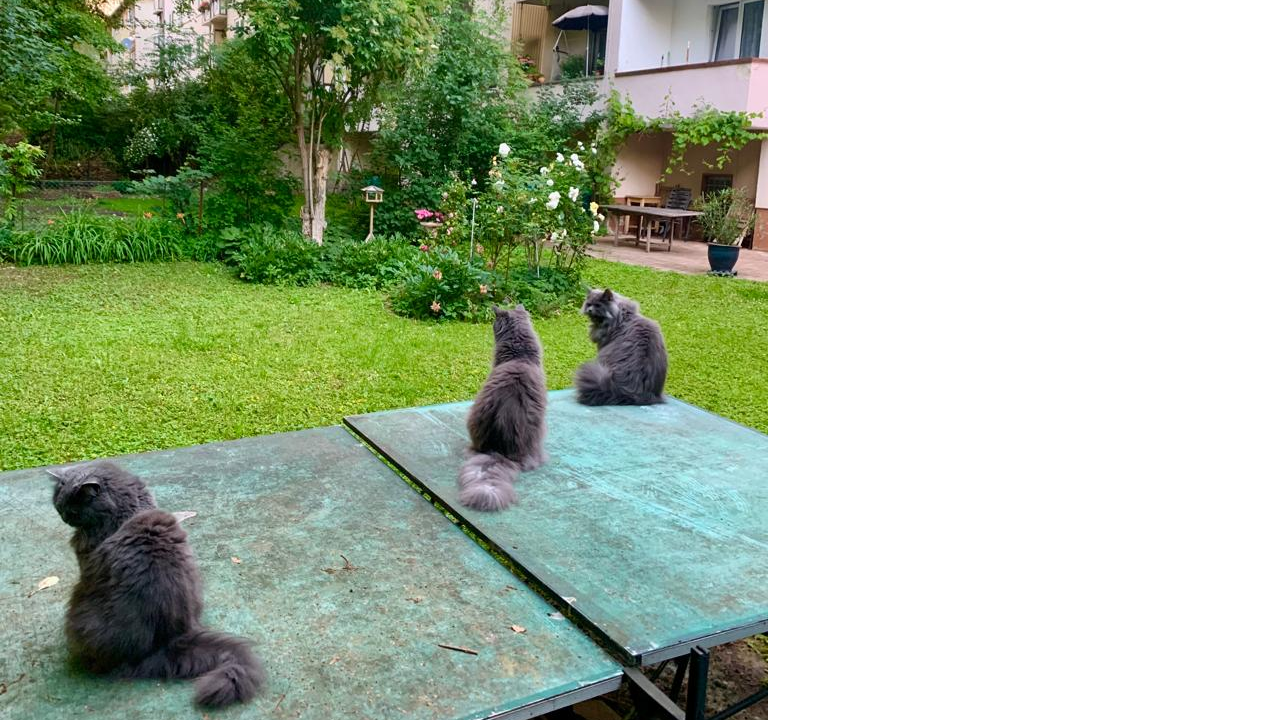 Ema, Susy ve Teo bahçede takılıyor...