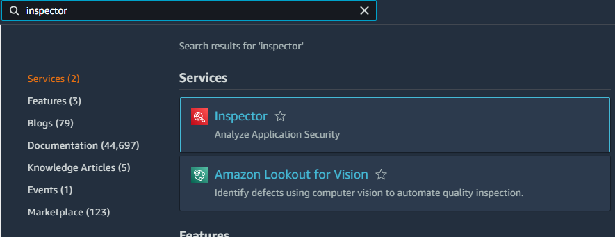 Amazon Inspector4.png