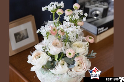 Éclosion de renoncules - Les étapes