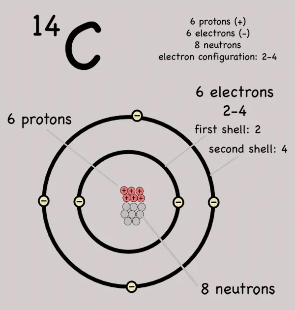 in the isotope carbon 14 what does the 14 represent
