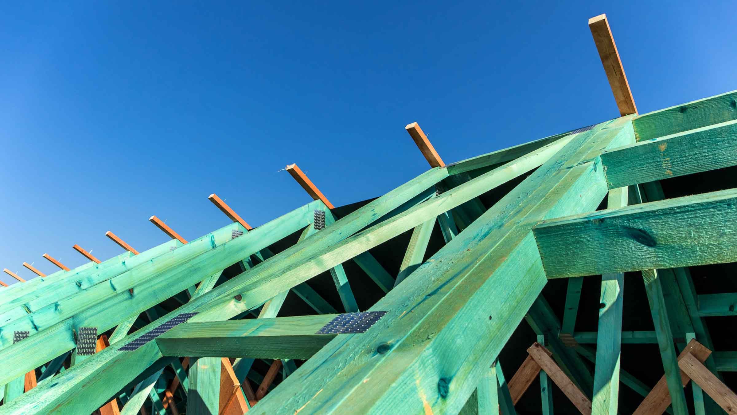 Green timber against a clear blue sky. It's a truss roof almost complete.