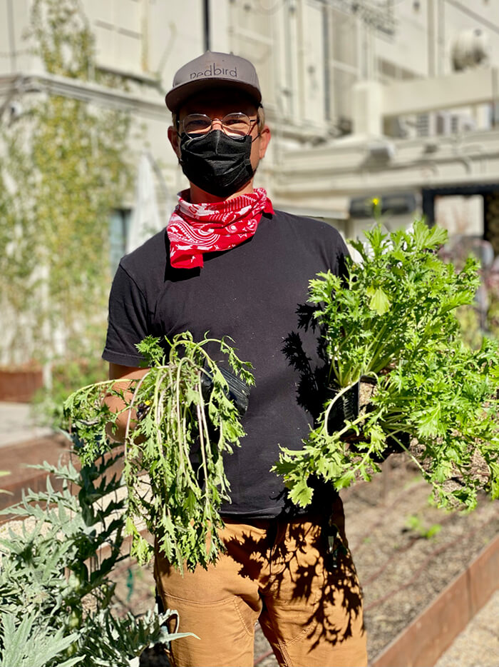 Garden Replanting in DTLA