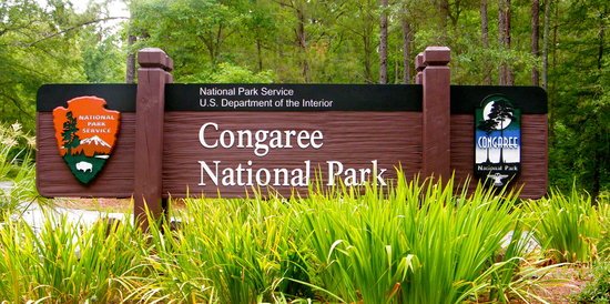 The classic brown entrance sign to Congaree National Park