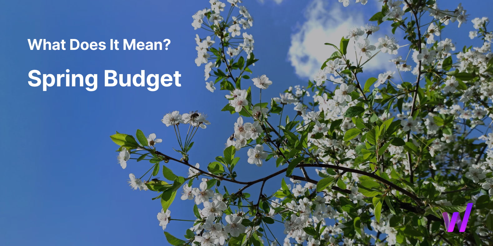 Spring Budget 2024 Impact & Analysis Key Dates & Predictions