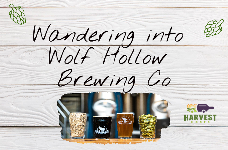 Wandering into Wolf Hollow Brewing Co