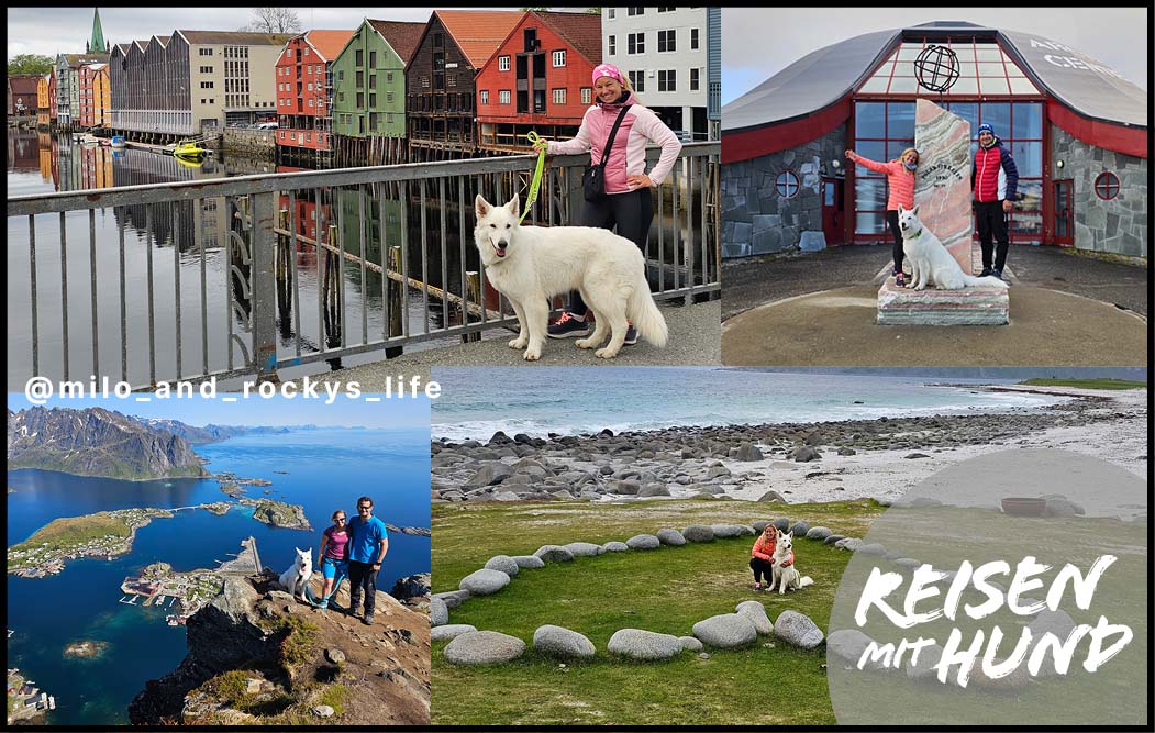skandinavien-mit-hund-rundreise-nordkap2.jpg