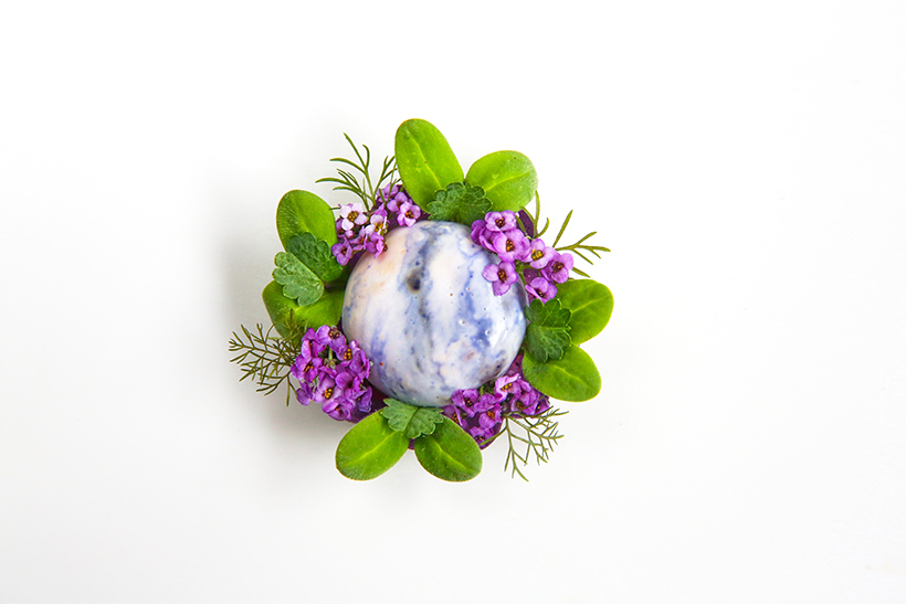 Langoustine claw bavoise, purple potato tart, preserved lemon, foliage of herbs and flowers