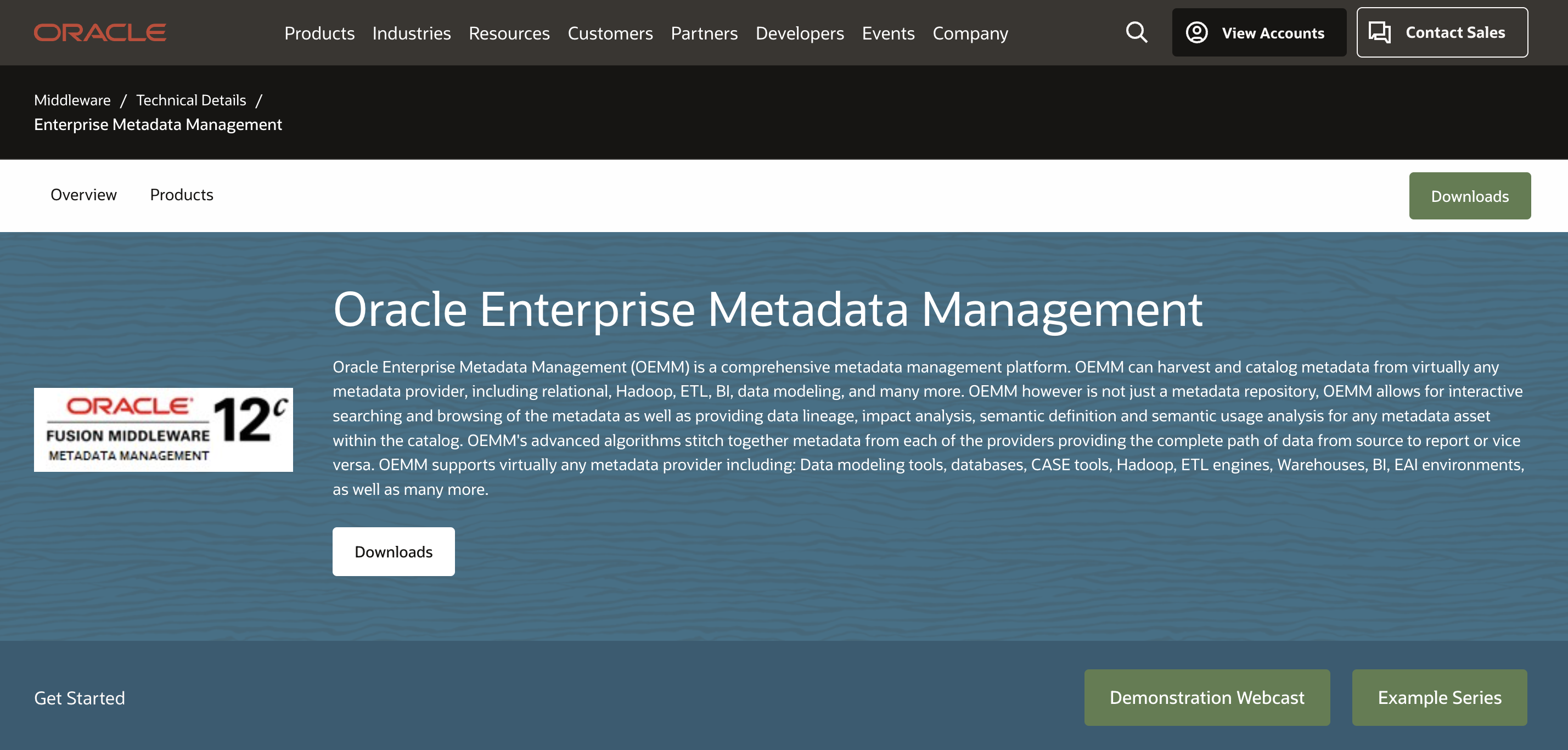 Oracle metadata management tool