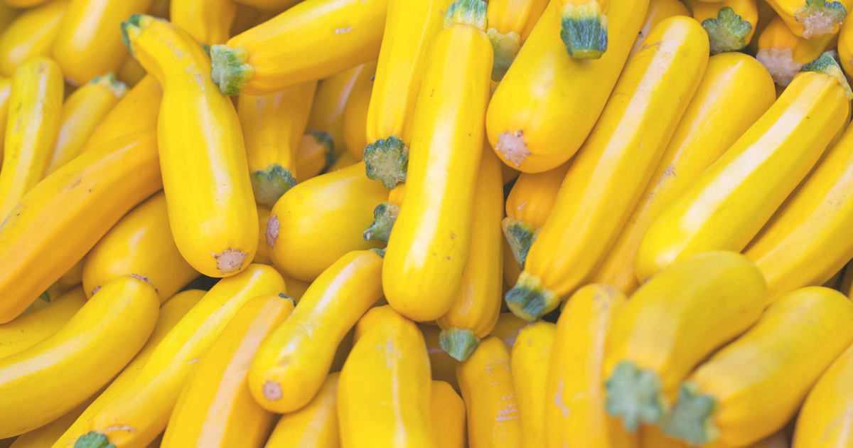 Summer Squash.png