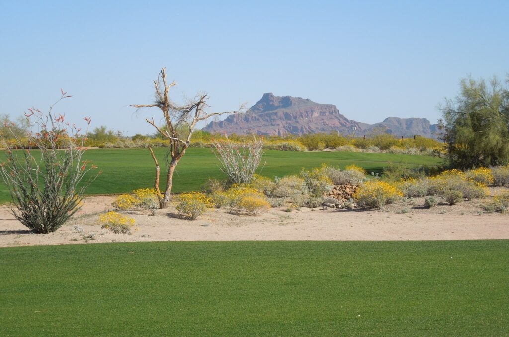 Longbow Golf Club is one of our awesome Harvest Hosts golf locations in Phoenix.