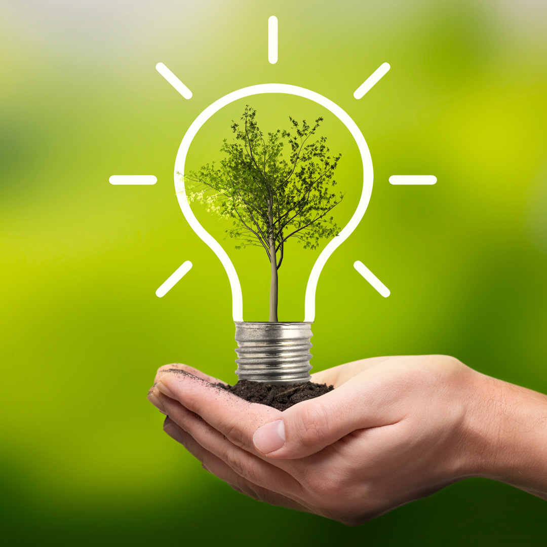 The Race to Net Zero is On for Big Studios - Entertainment Partners