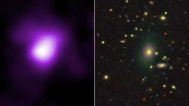 Black Holes