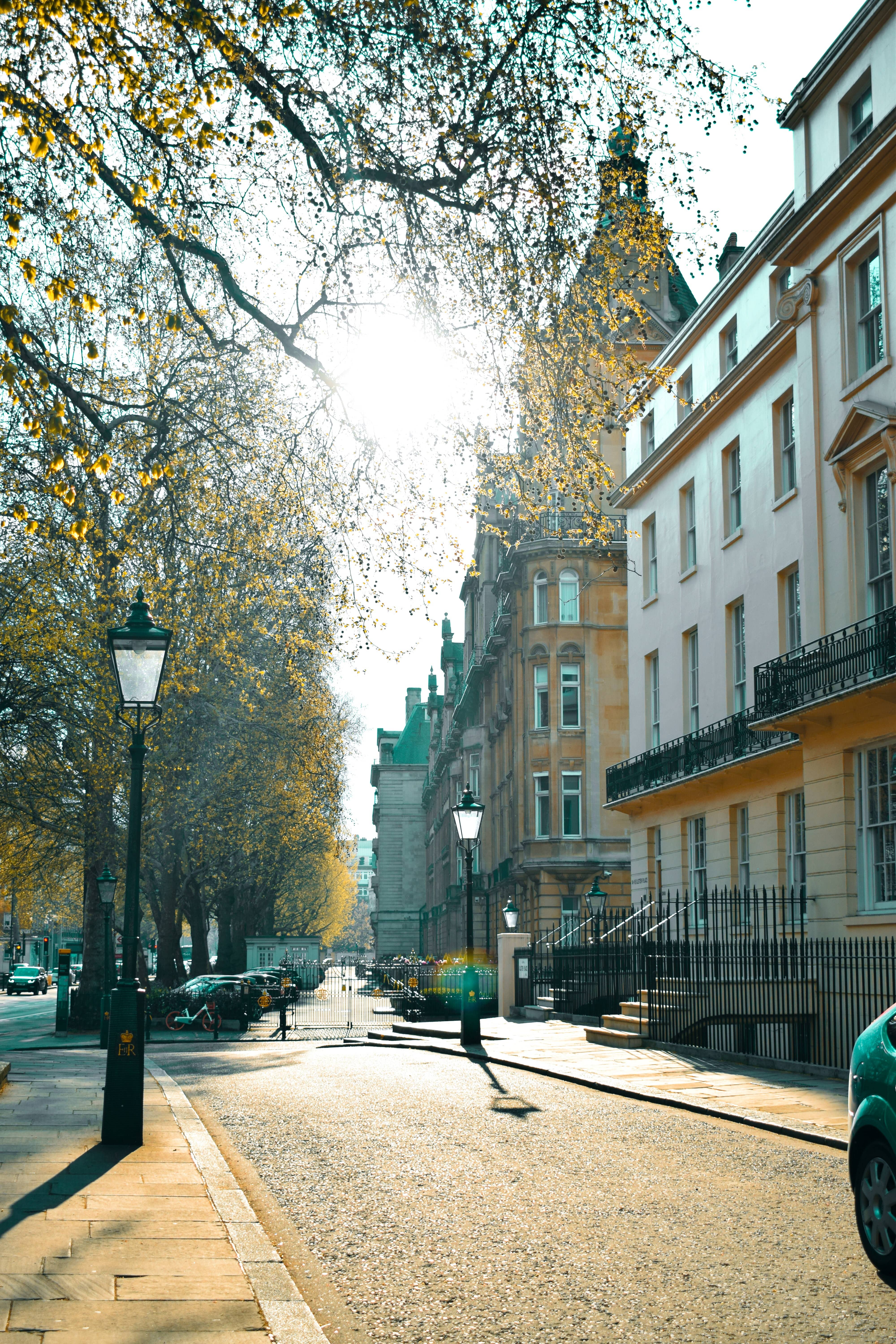 Photo of the city during spring time