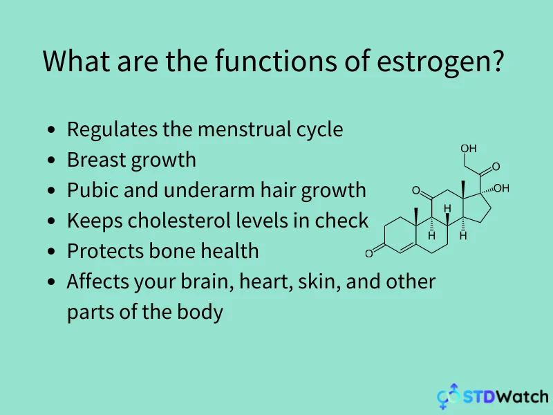 functions-of-estrogen