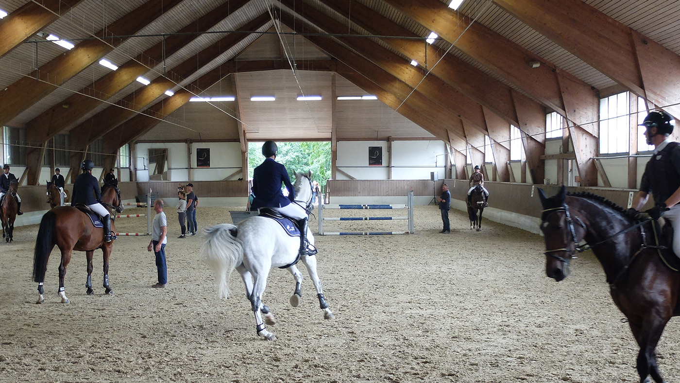 happy-horse-beitragsbild.jpg